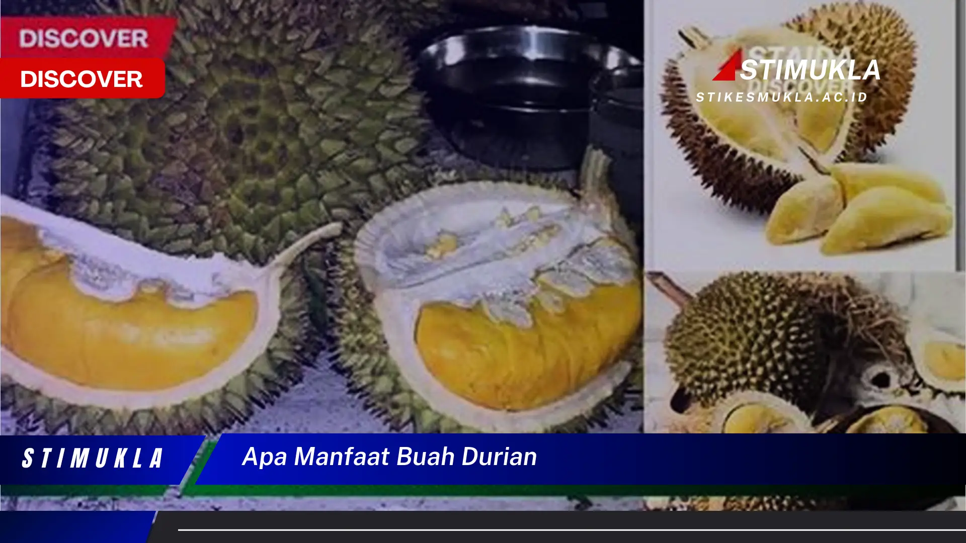 apa manfaat buah durian
