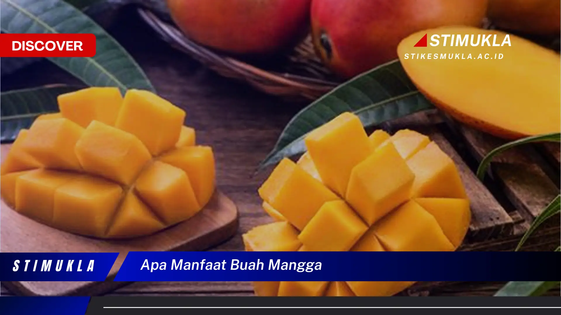 apa manfaat buah mangga