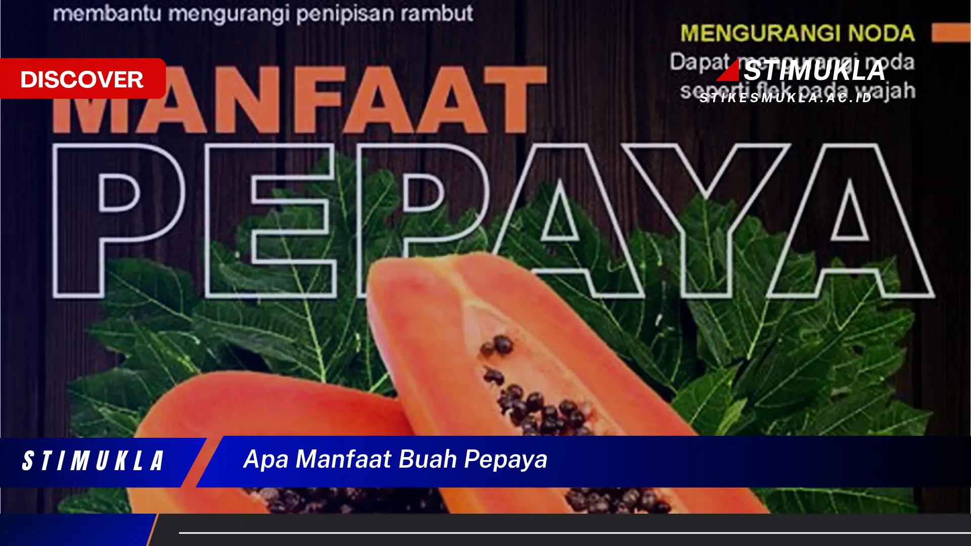 apa manfaat buah pepaya