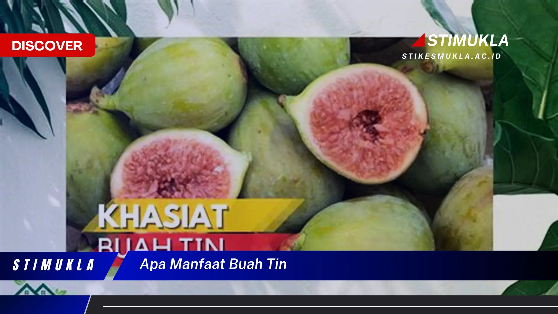 apa manfaat buah tin