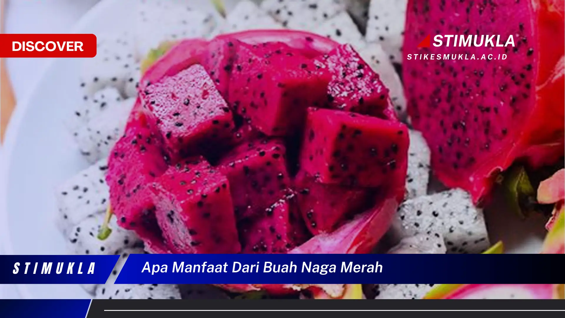 apa manfaat dari buah naga merah