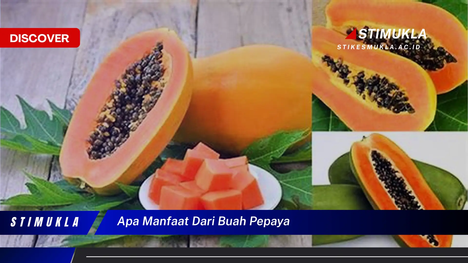 apa manfaat dari buah pepaya