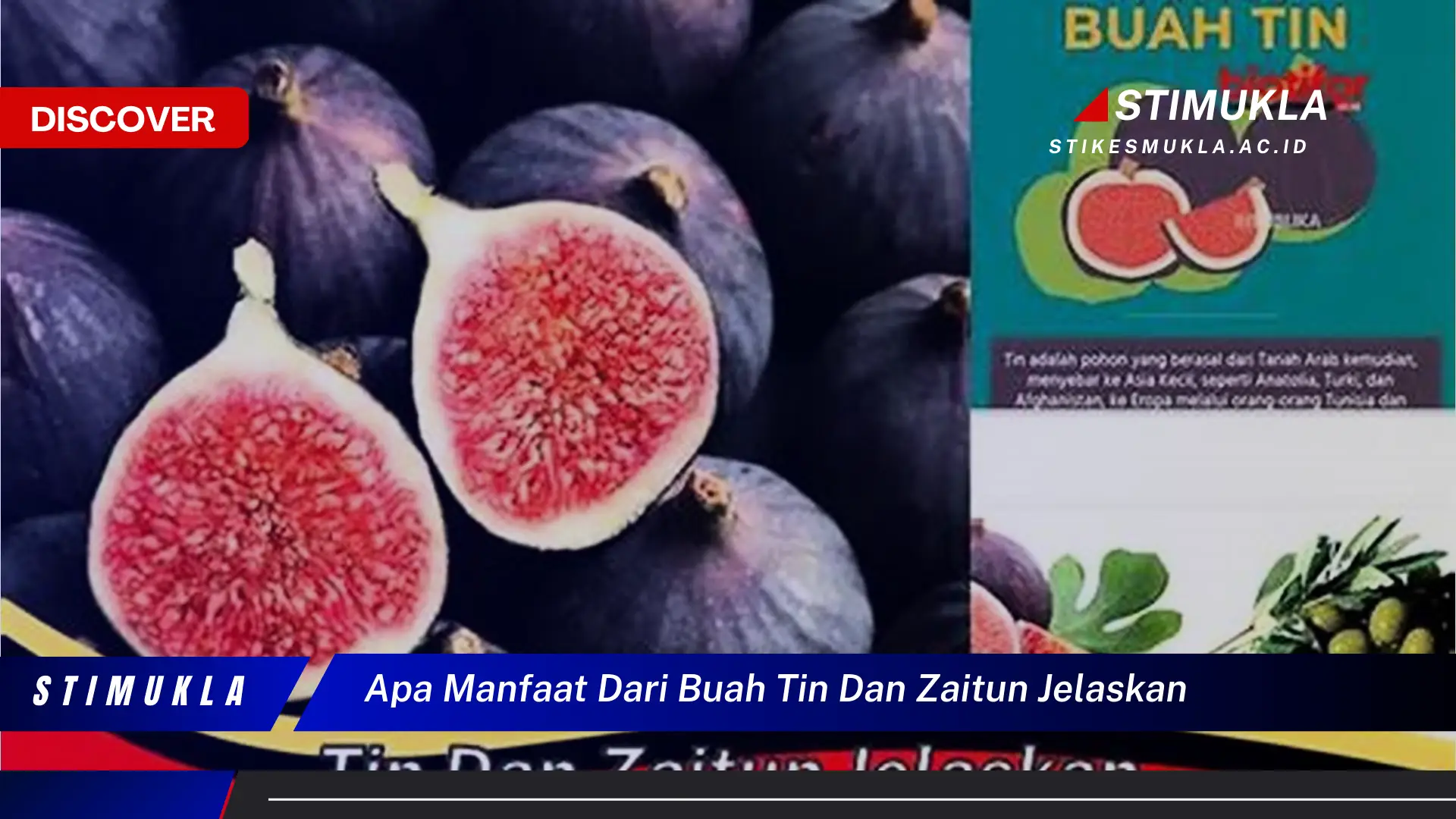 apa manfaat dari buah tin dan zaitun jelaskan