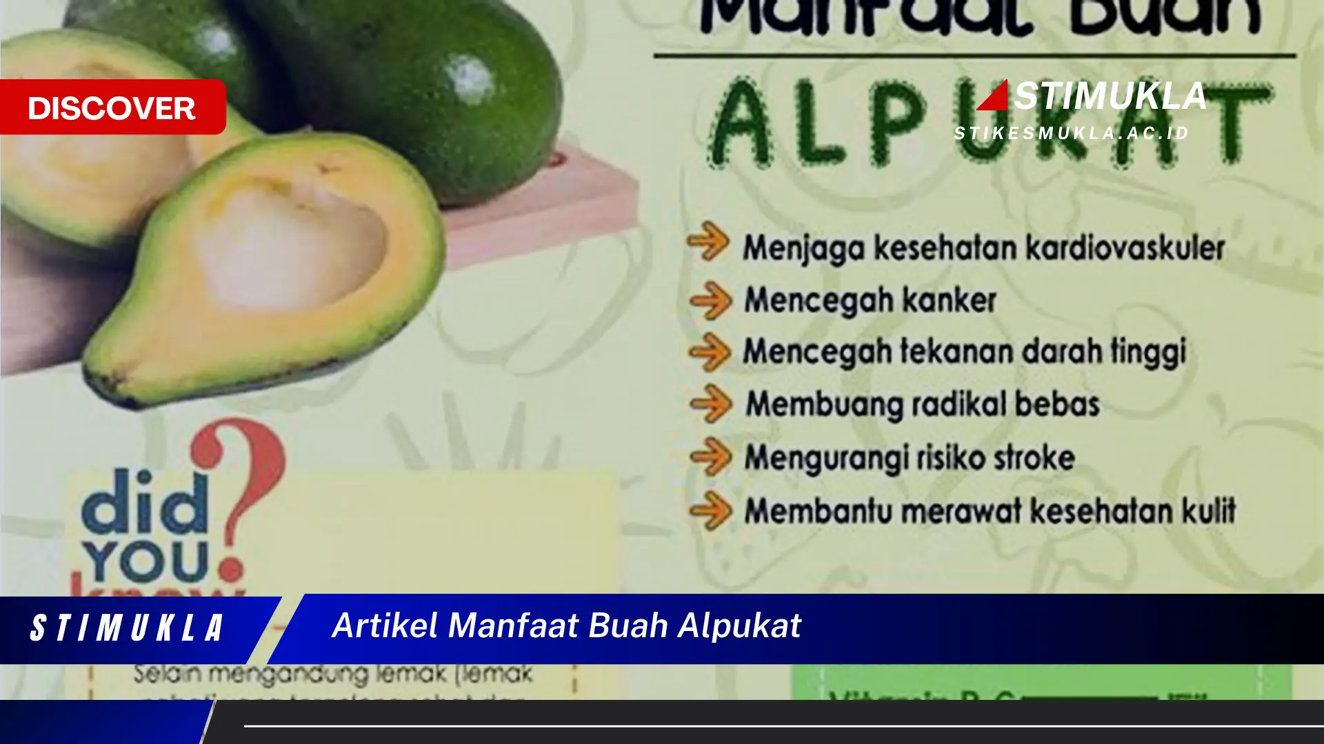 artikel manfaat buah alpukat