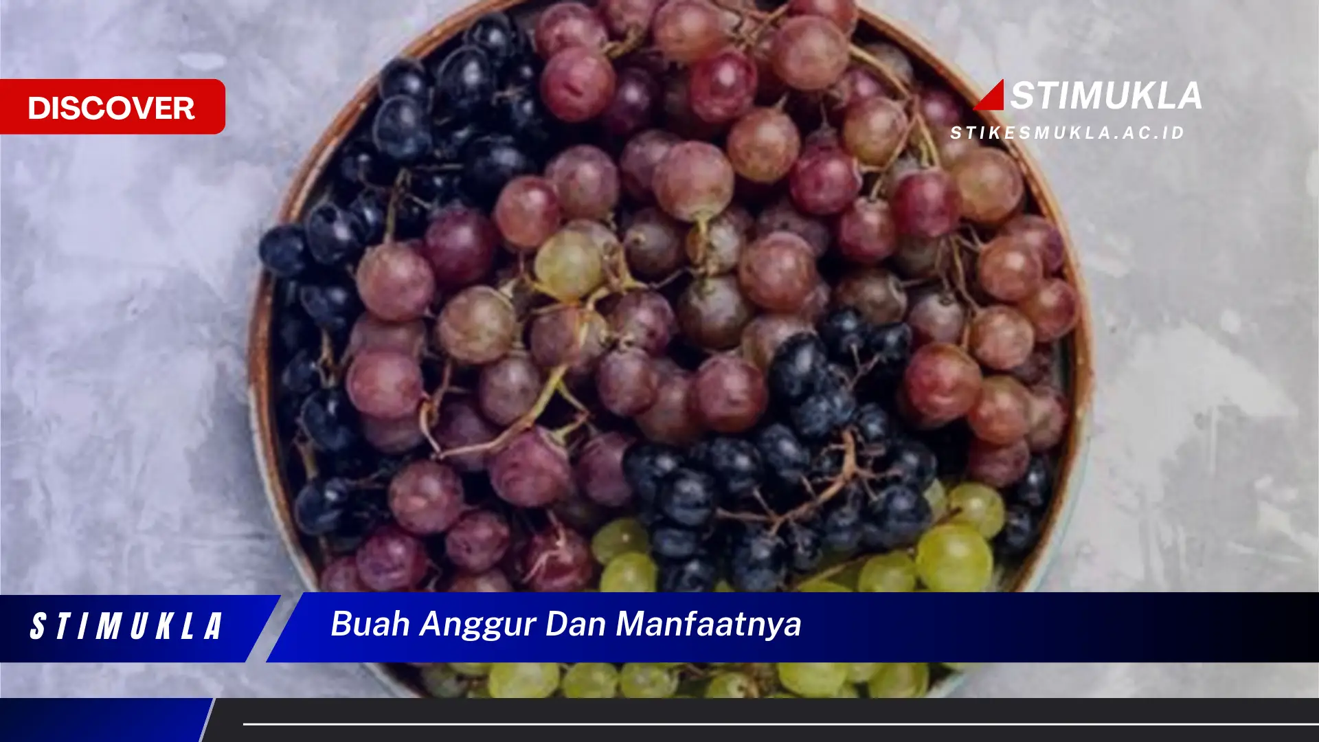 buah anggur dan manfaatnya