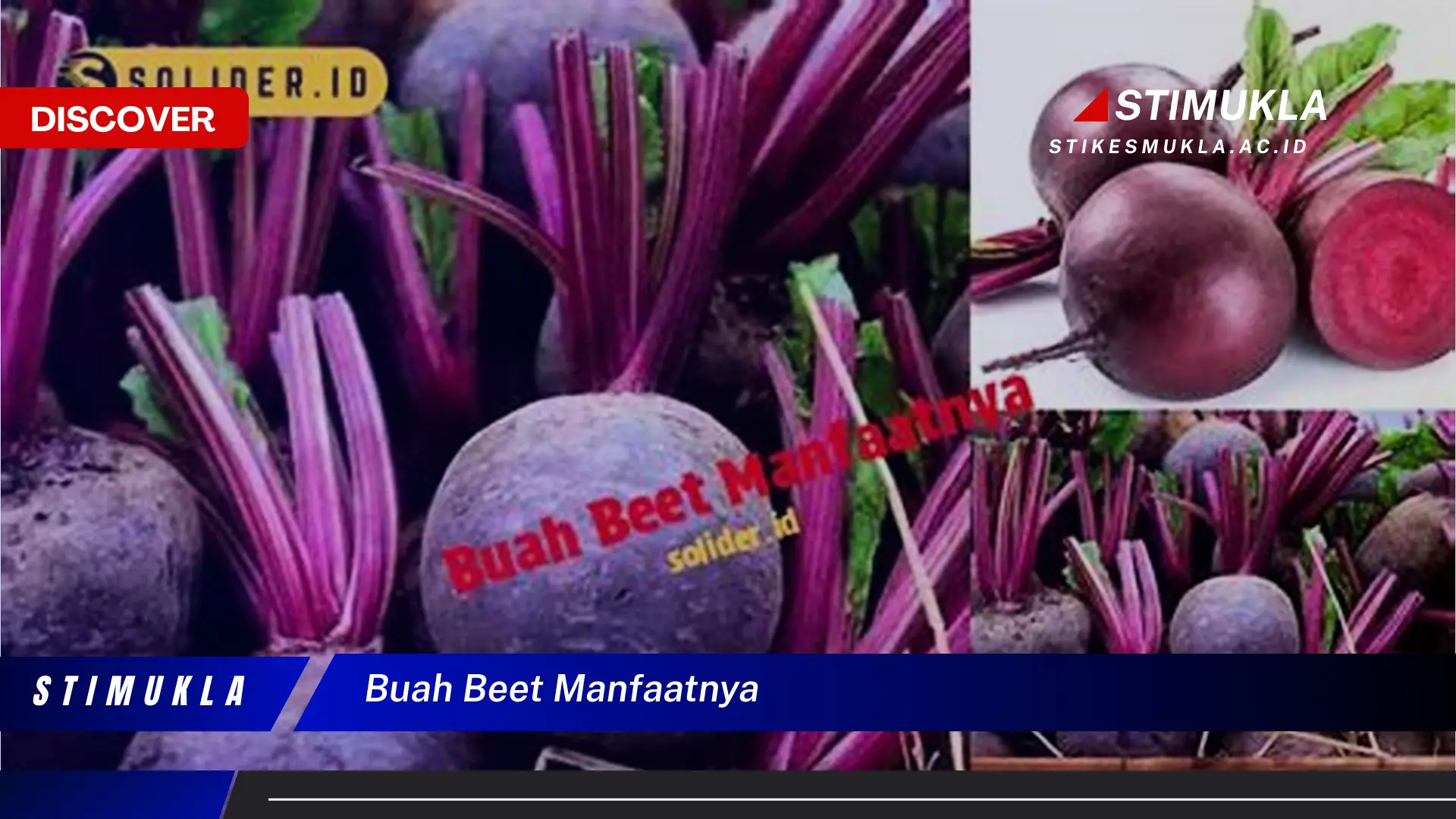 buah beet manfaatnya