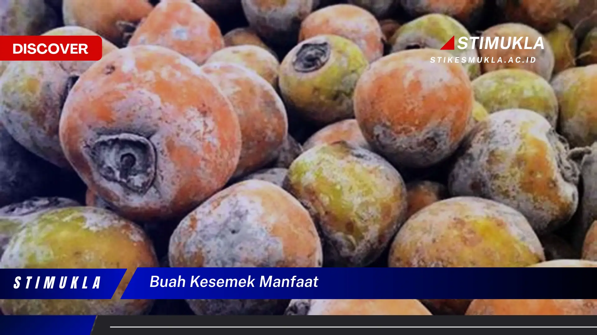 buah kesemek manfaat