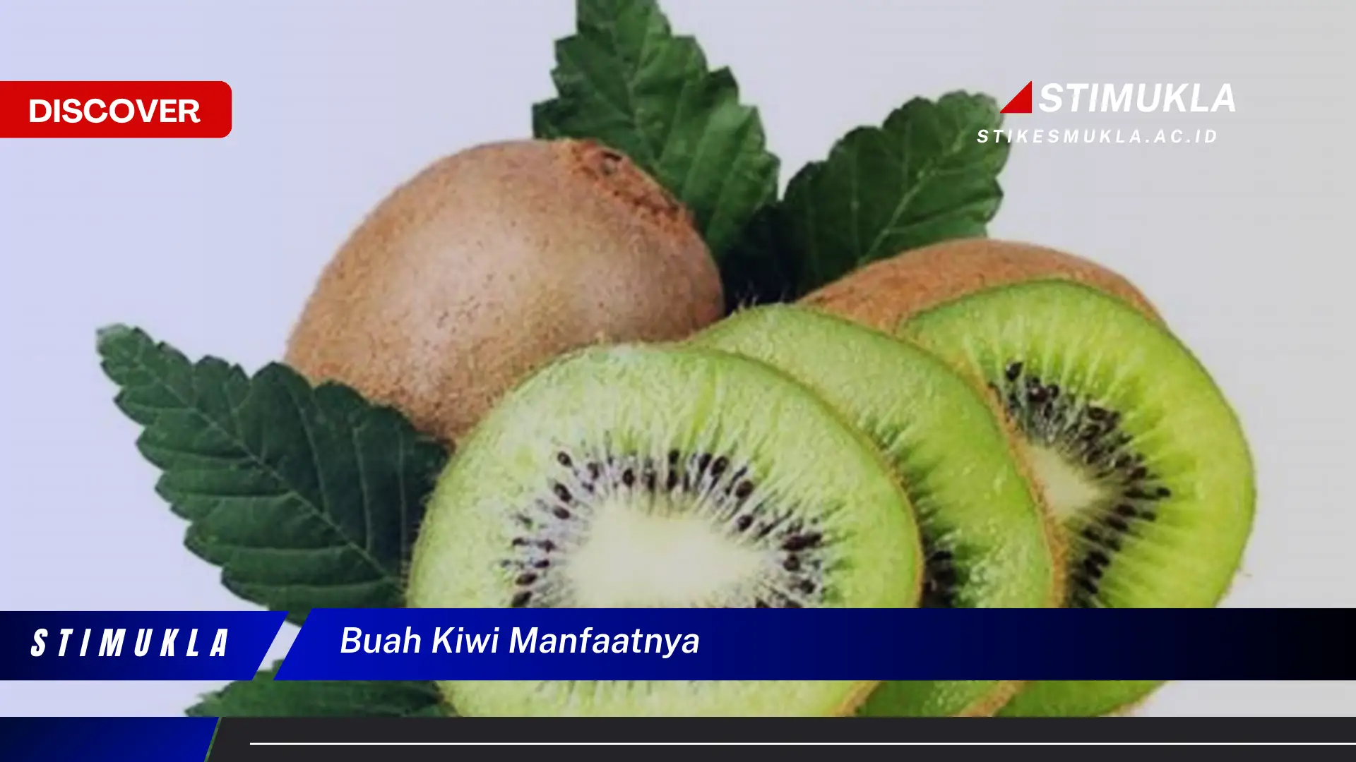 buah kiwi manfaatnya buah kiwi manfaatnya