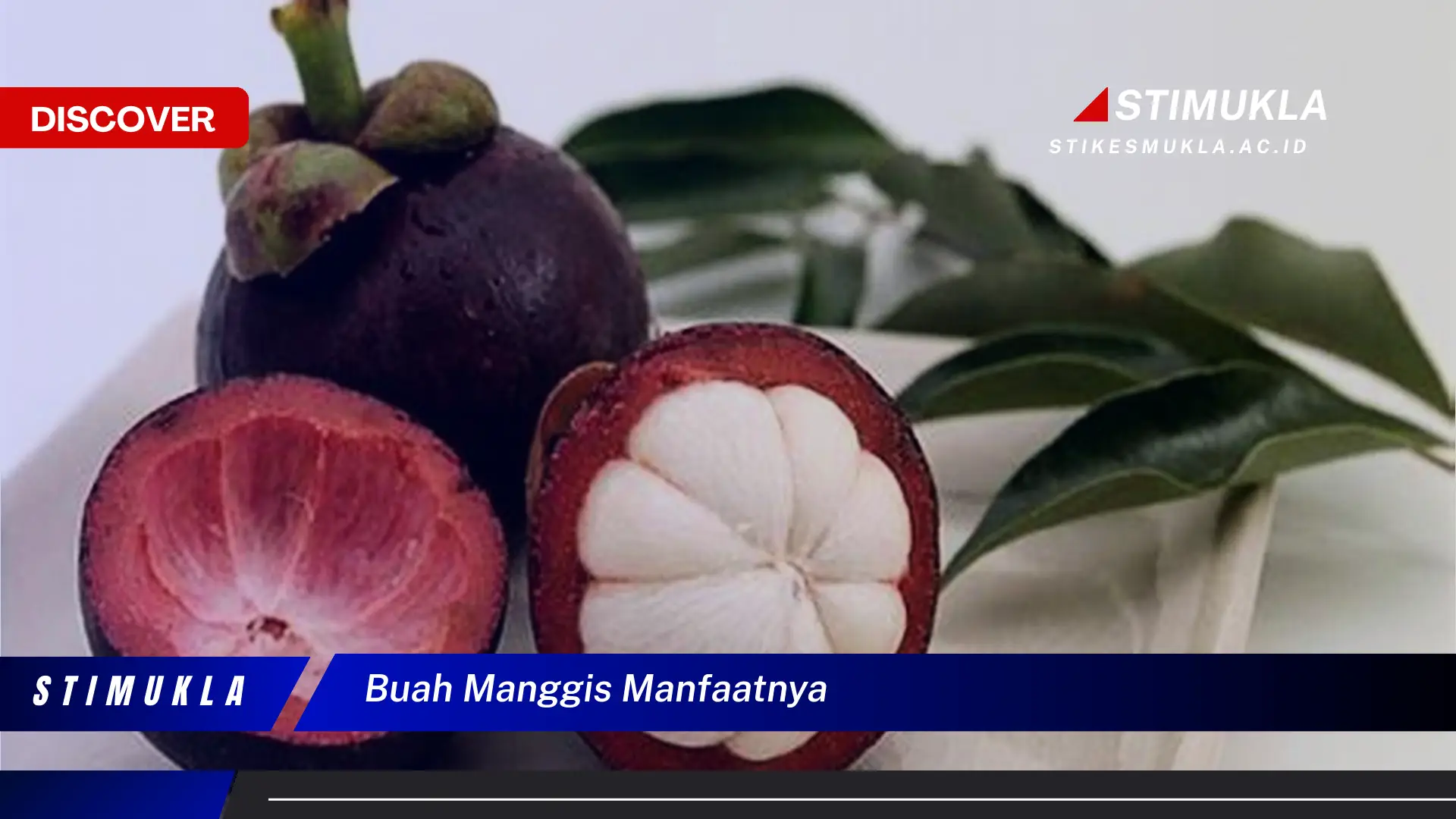 buah manggis manfaatnya