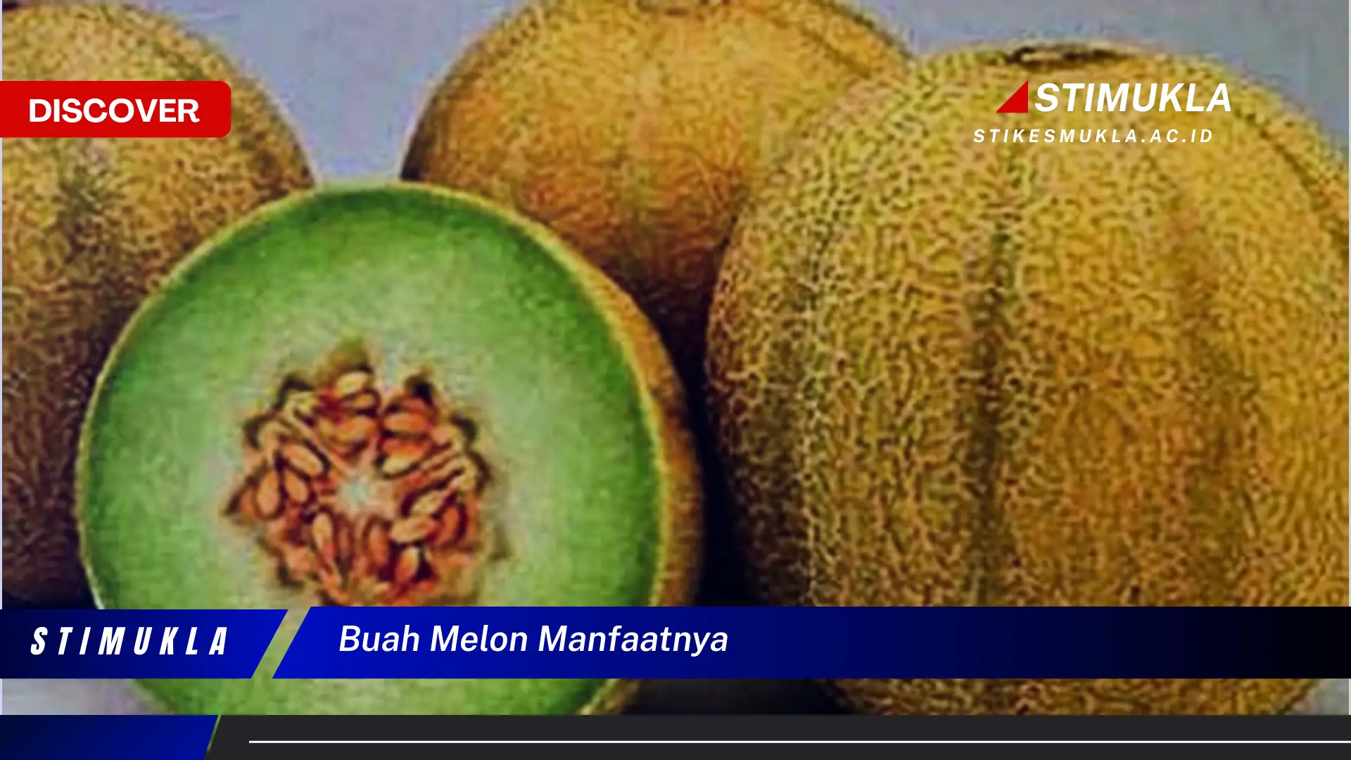 buah melon manfaatnya