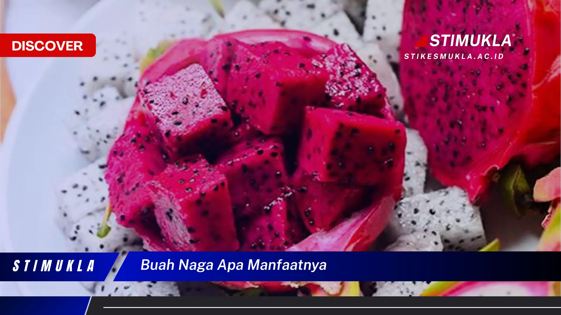 buah naga apa manfaatnya