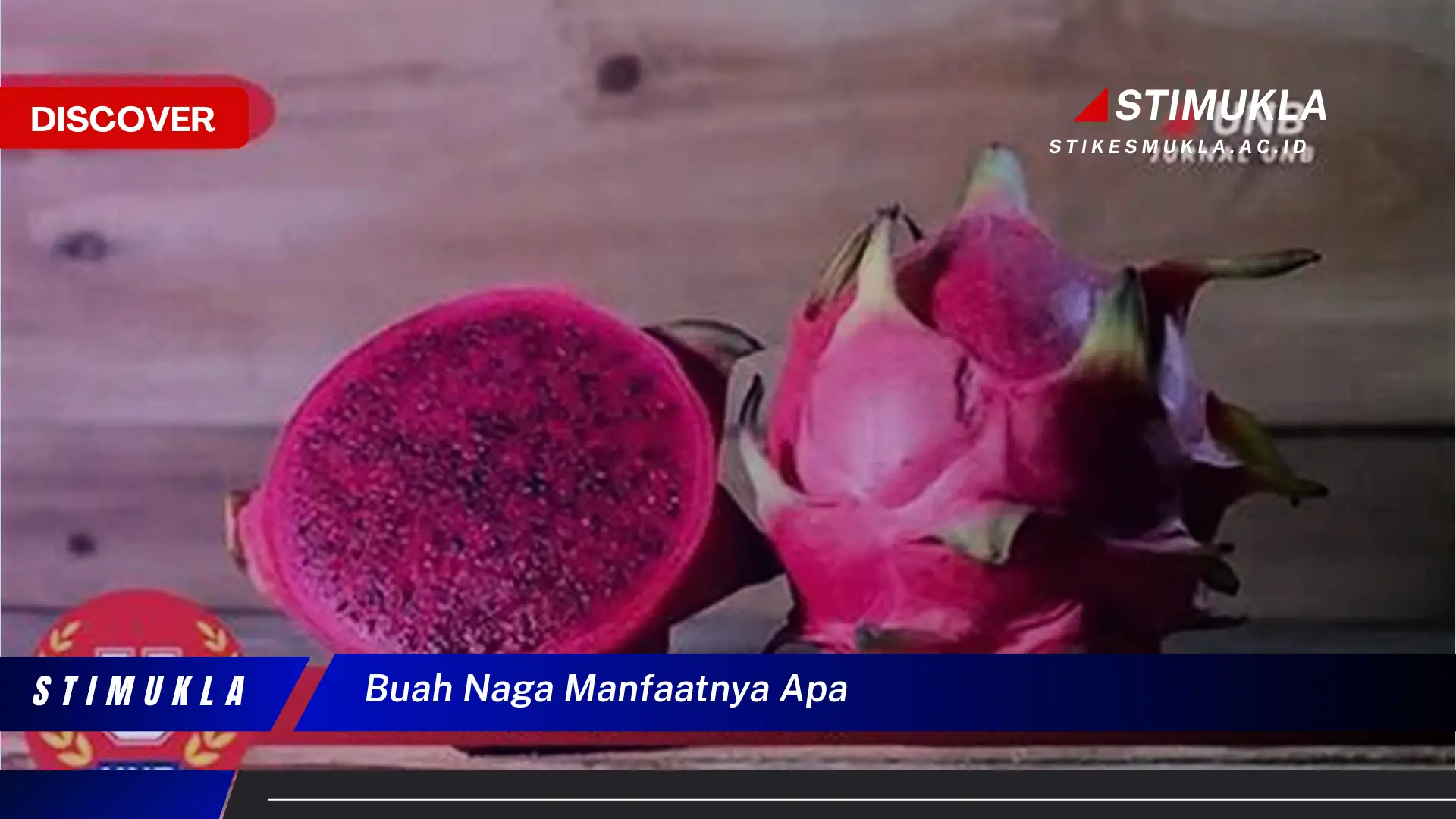 buah naga manfaatnya apa