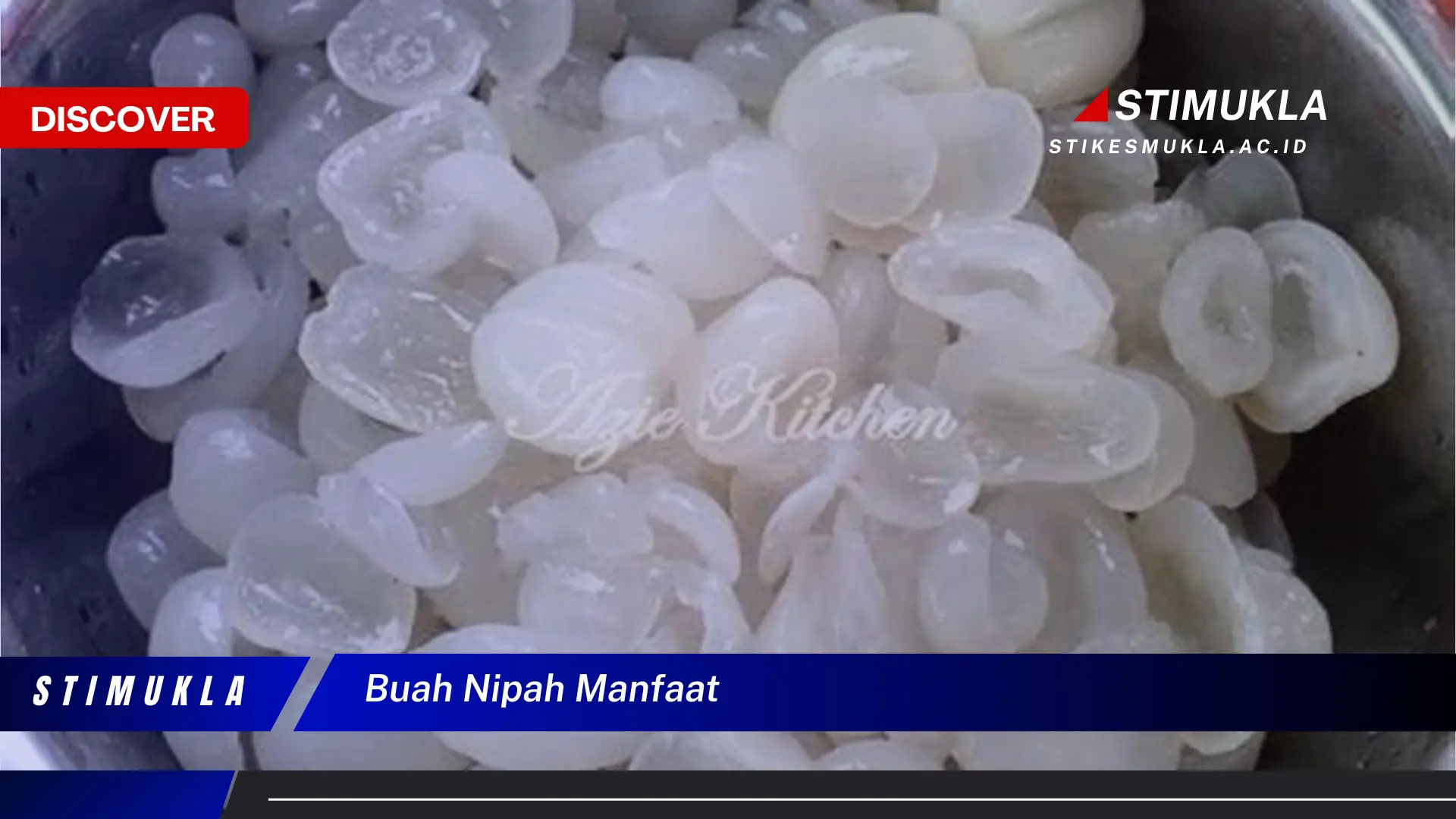 buah nipah manfaat