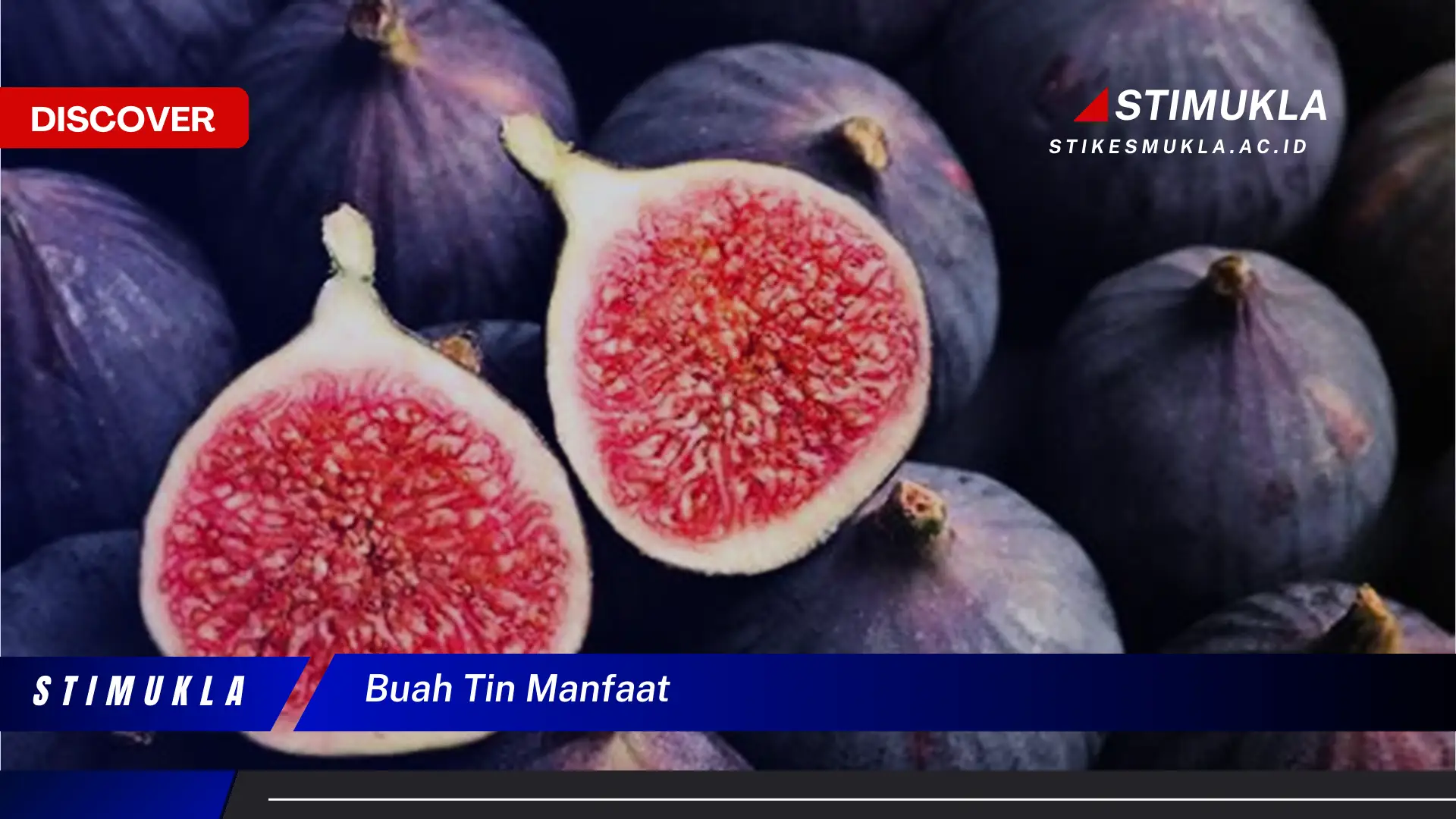 buah tin manfaat