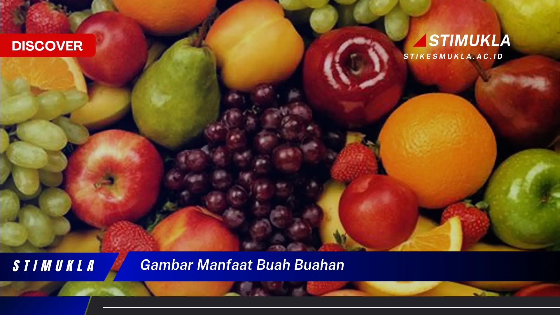 gambar manfaat buah buahan gambar manfaat buah buahan