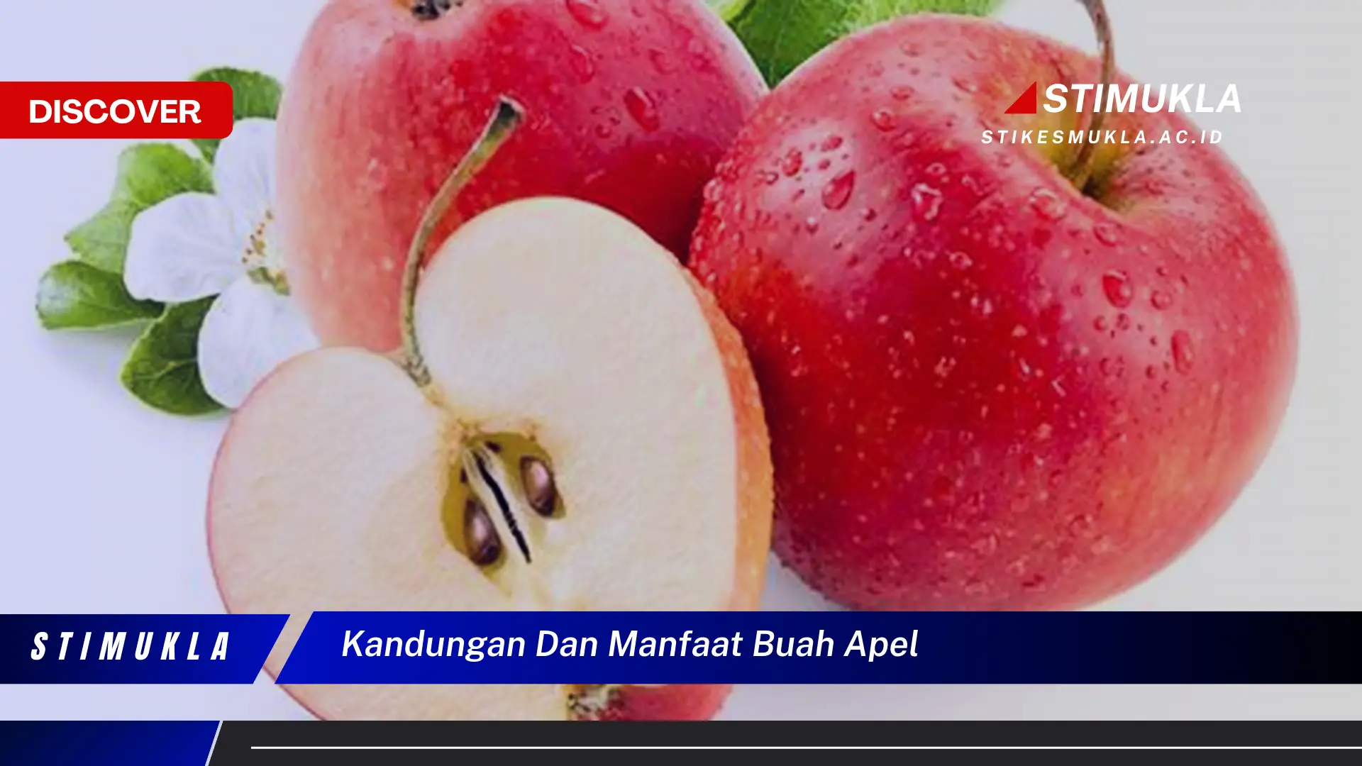 kandungan dan manfaat buah apel