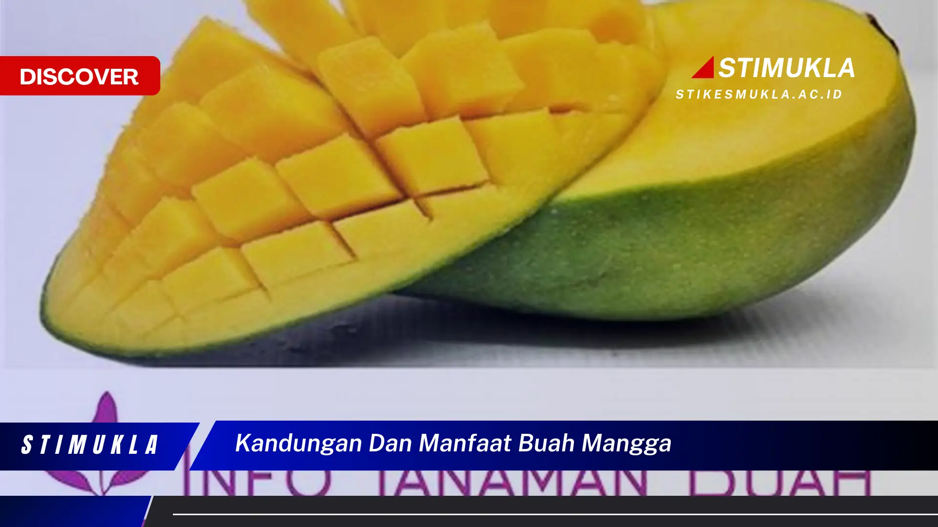kandungan dan manfaat buah mangga