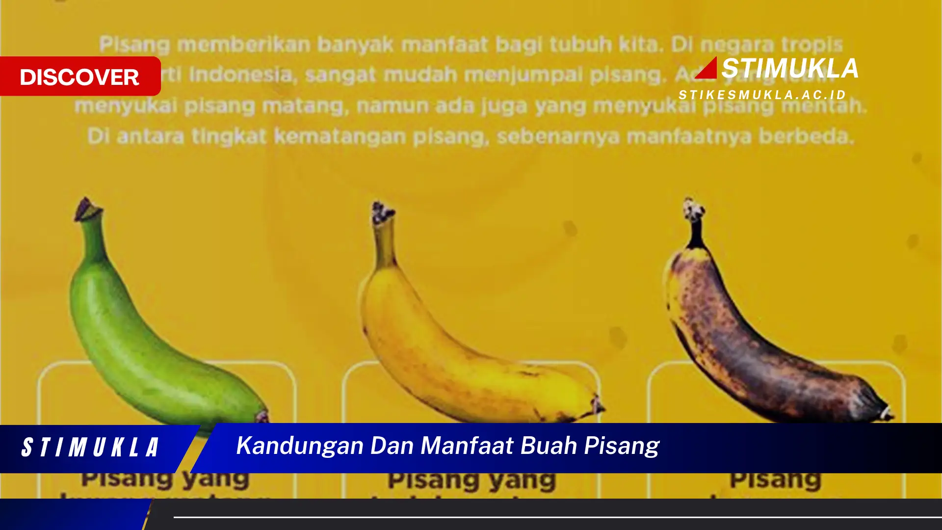 kandungan dan manfaat buah pisang