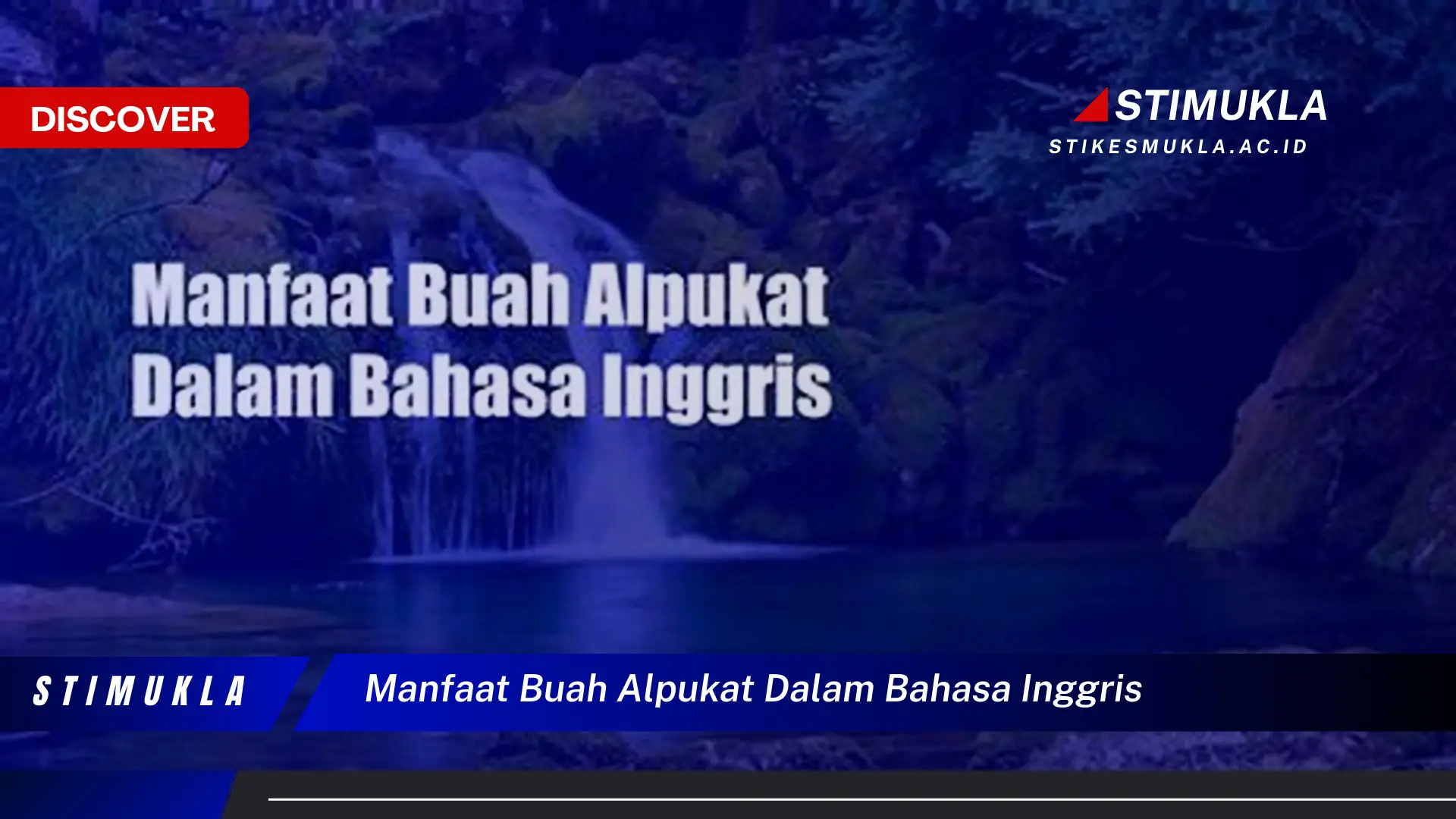 manfaat buah alpukat dalam bahasa inggris