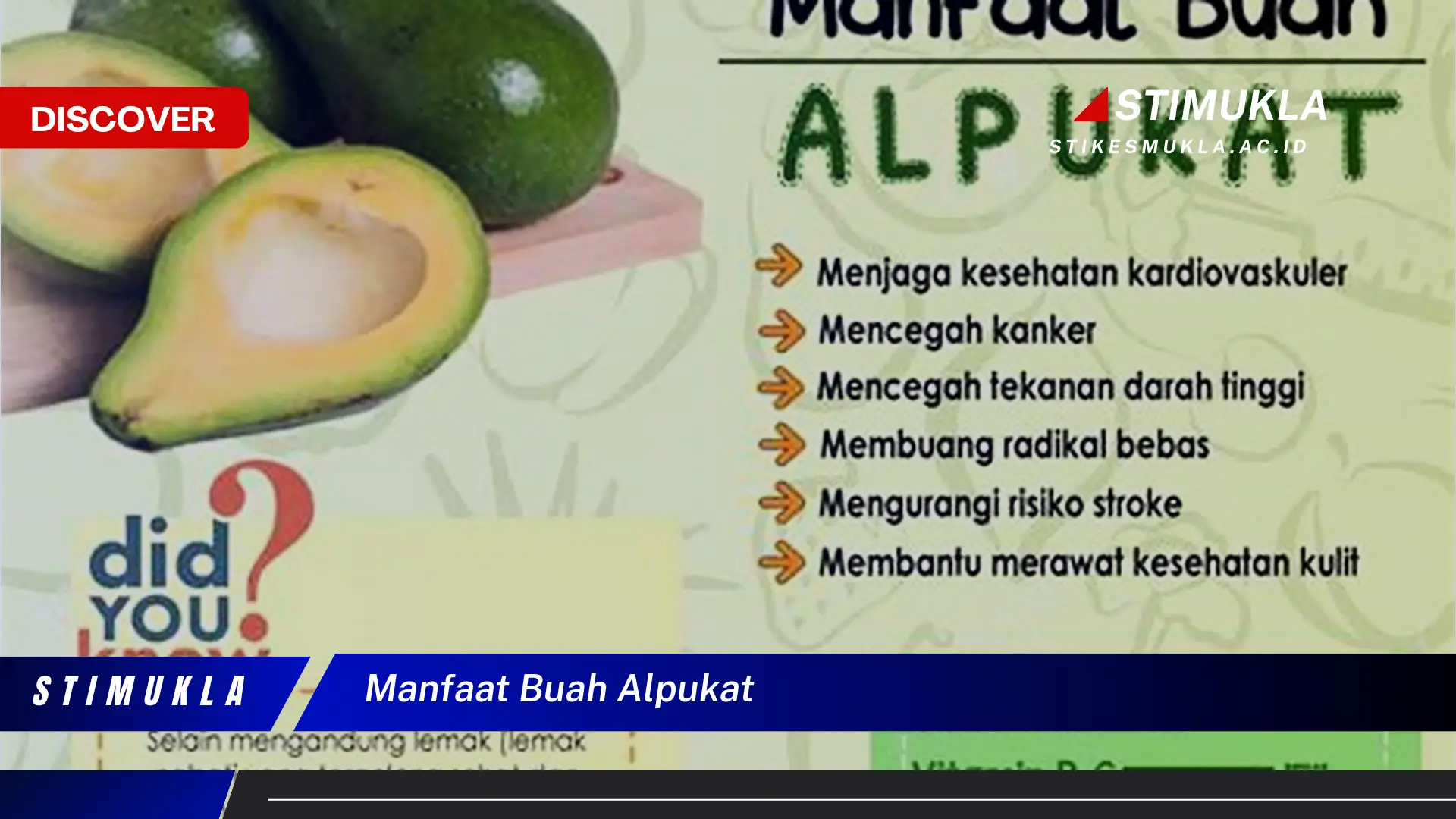 manfaat buah alpukat