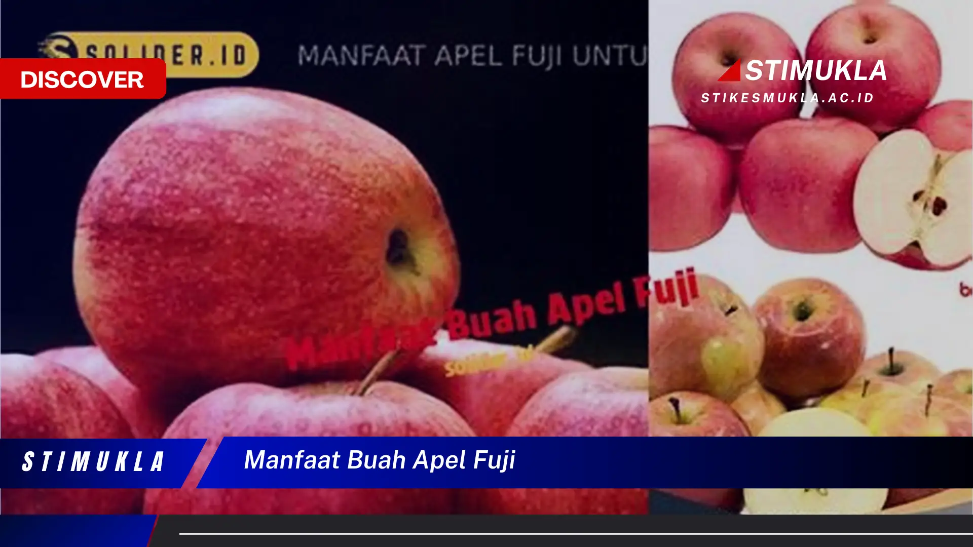 manfaat buah apel fuji manfaat buah apel fuji