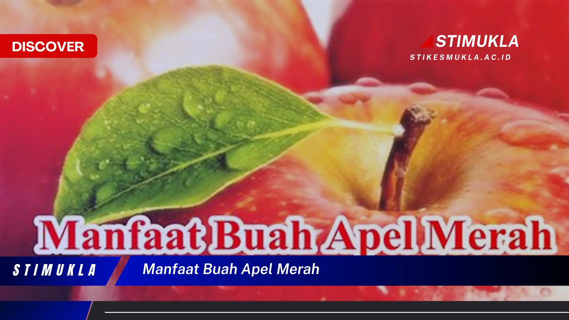 manfaat buah apel merah