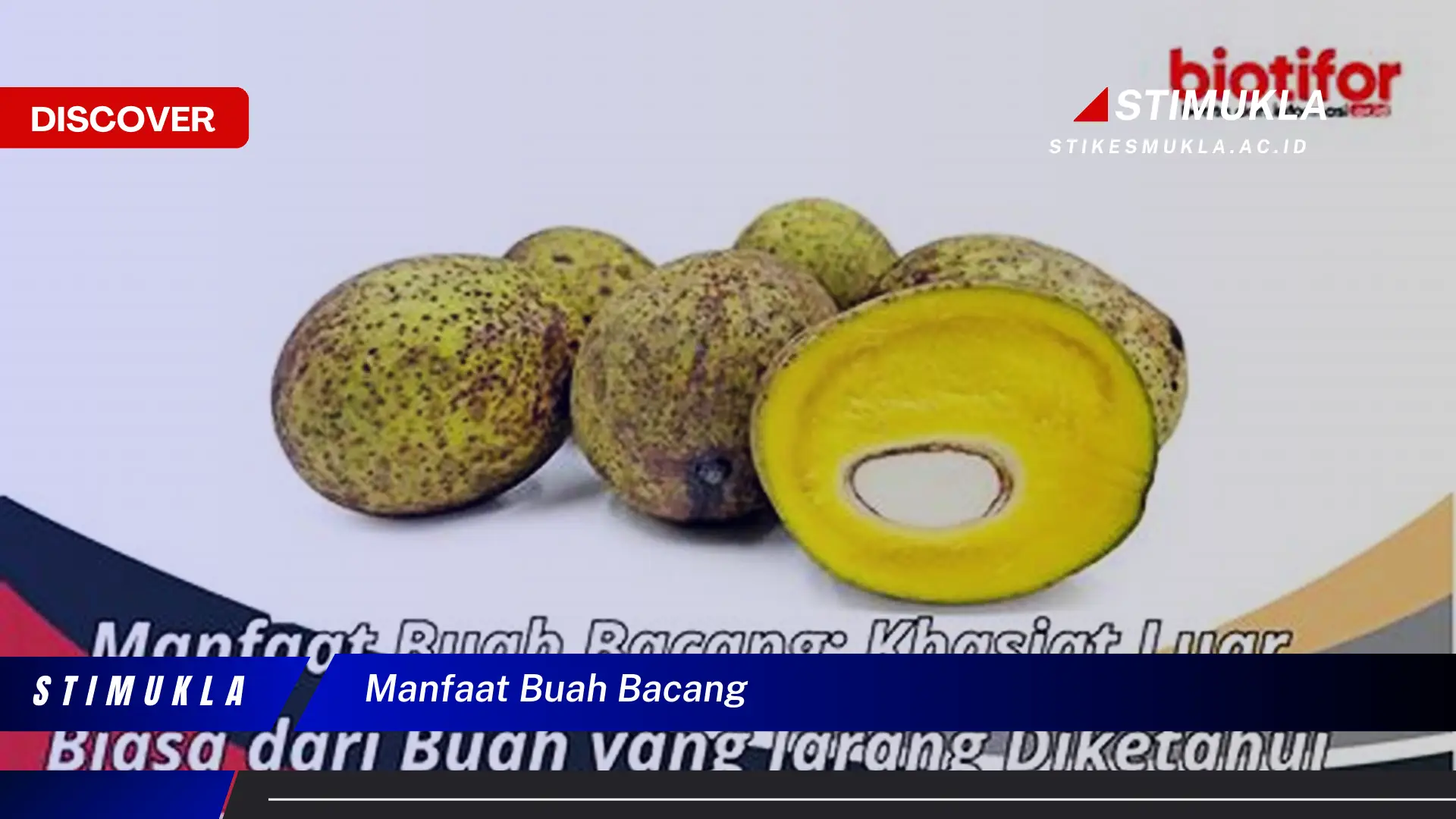 manfaat buah bacang manfaat buah bacang