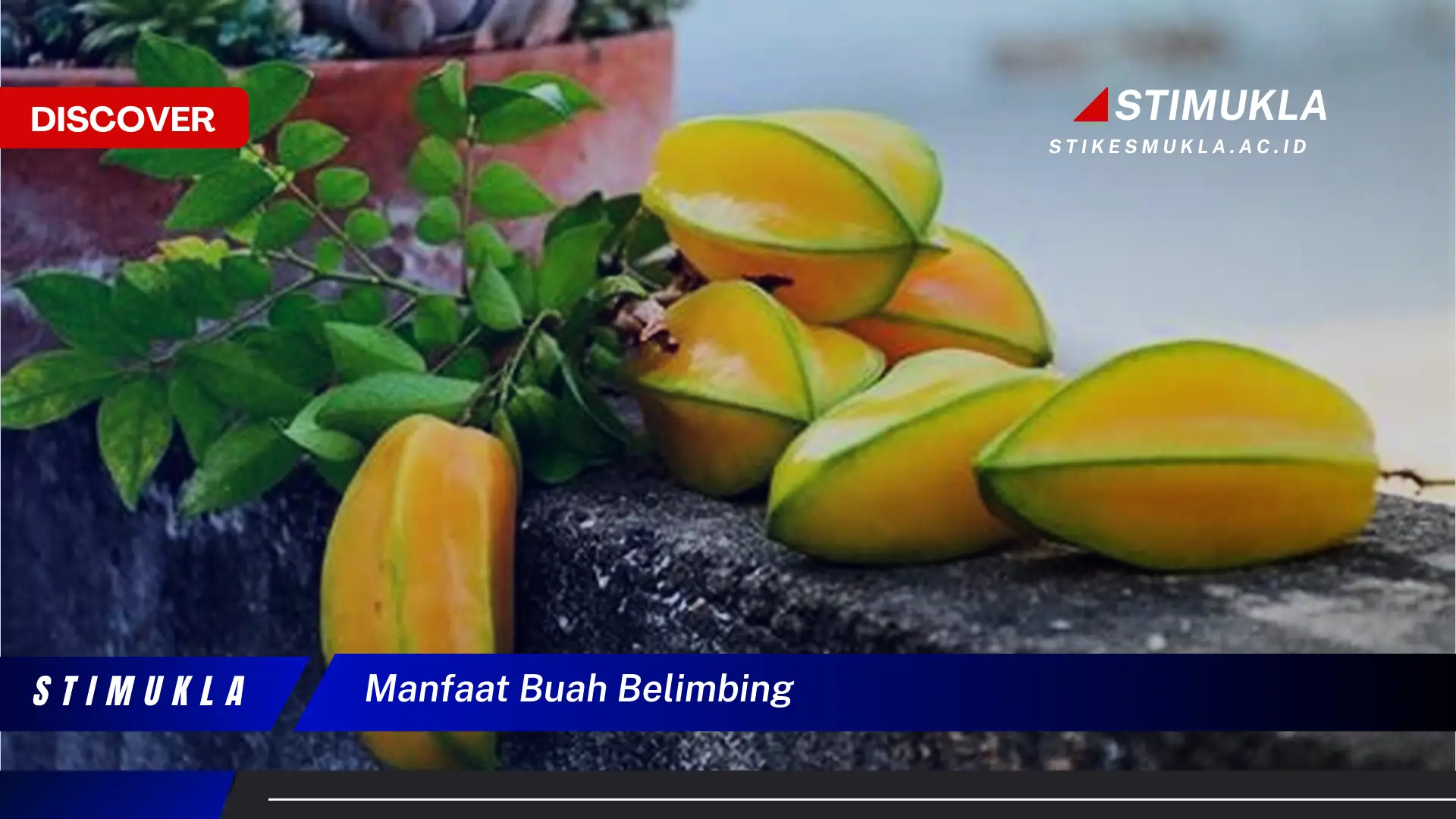 manfaat buah belimbing