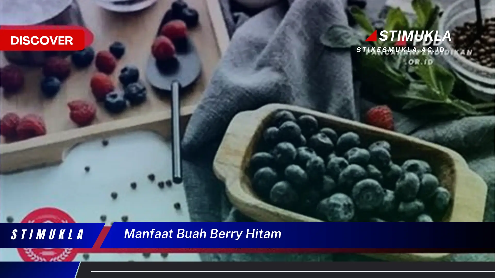 manfaat buah berry hitam