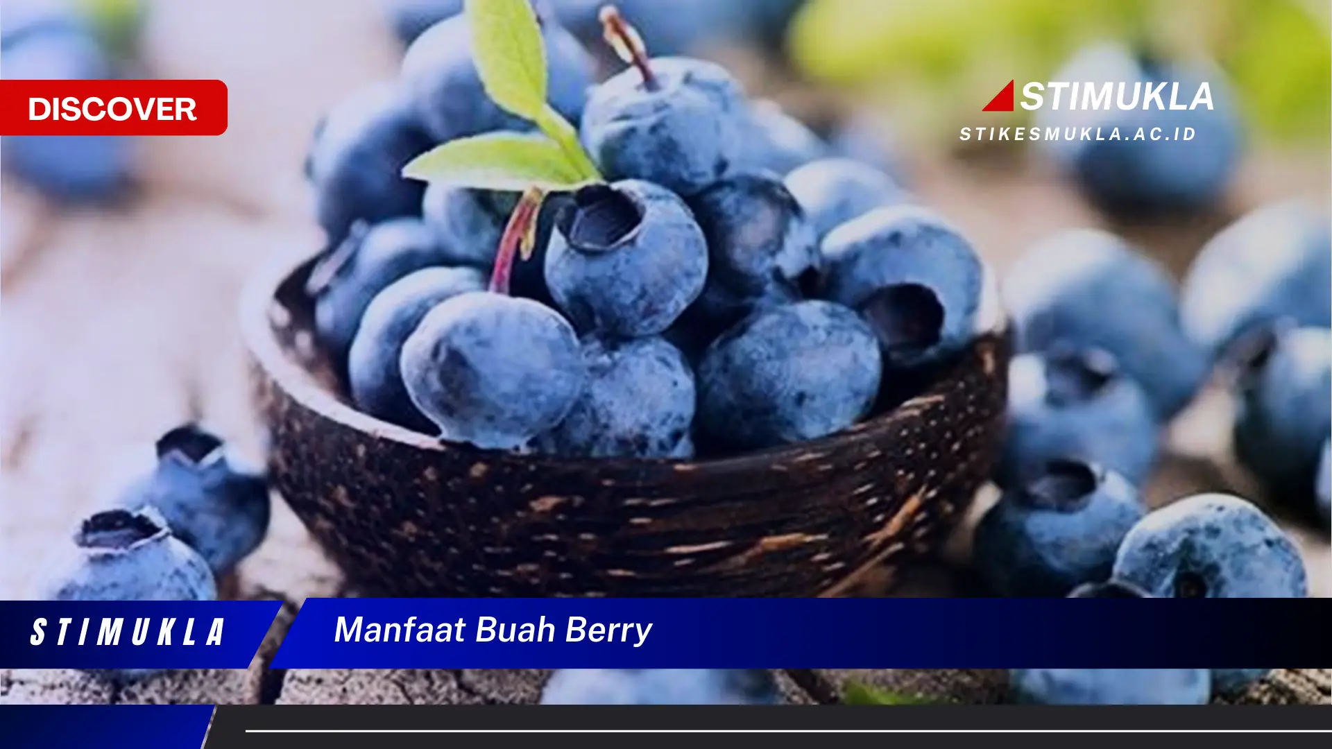 manfaat buah berry