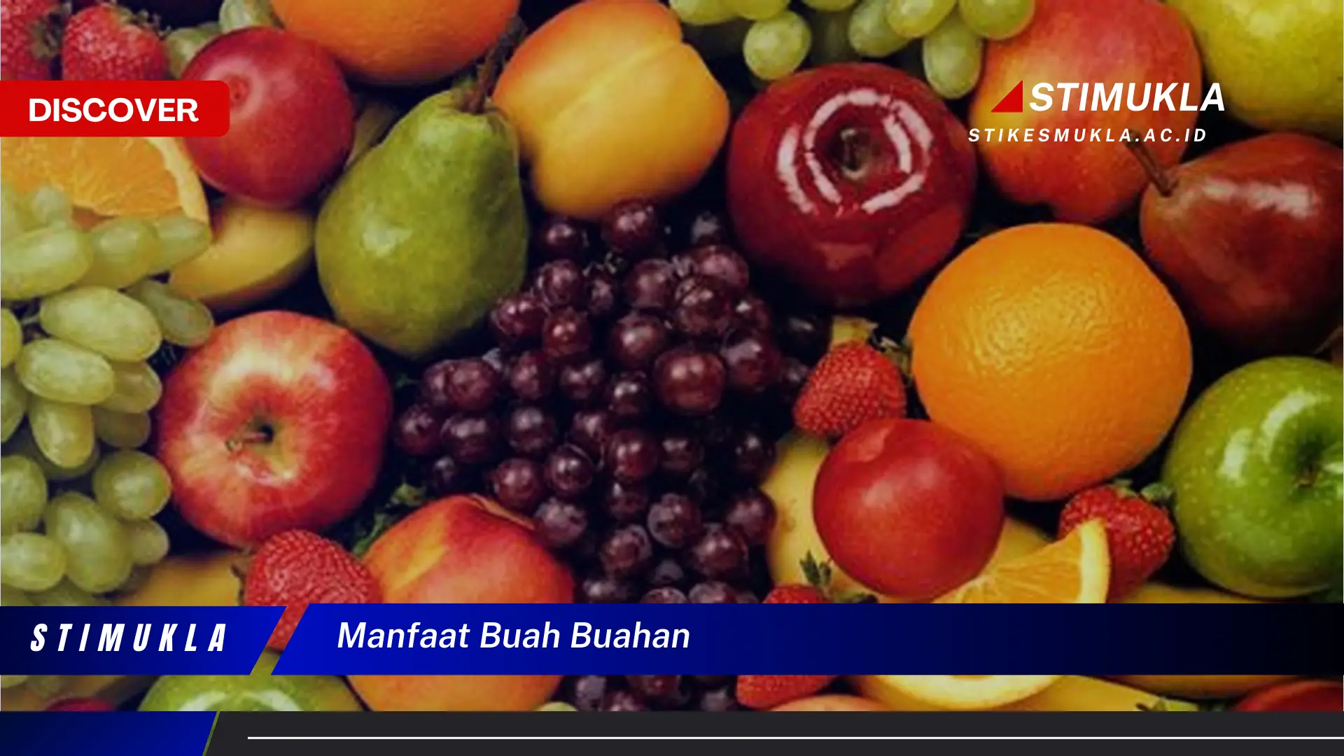 manfaat buah buahan manfaat buah buahan