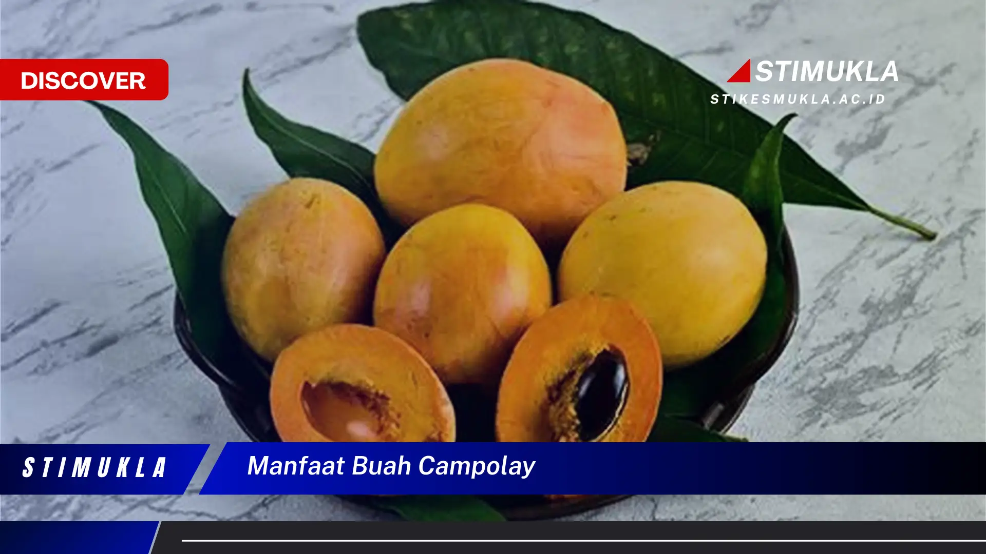 manfaat buah campolay