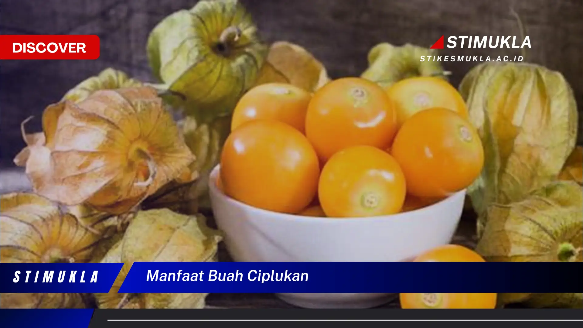 manfaat buah ciplukan