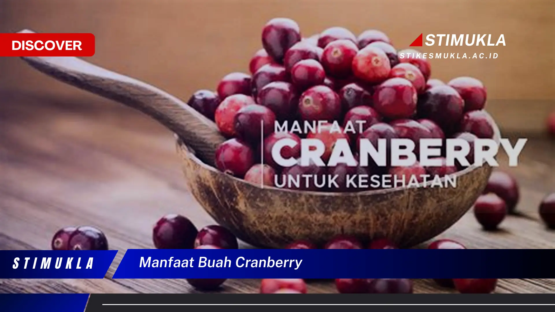 manfaat buah cranberry