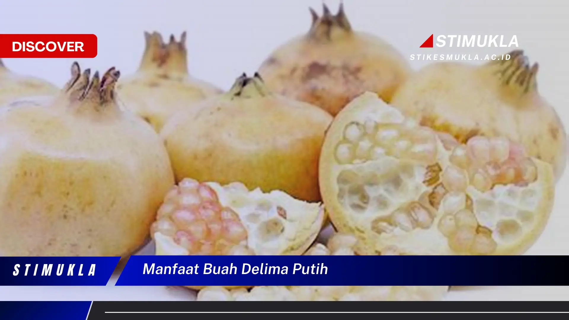 manfaat buah delima putih