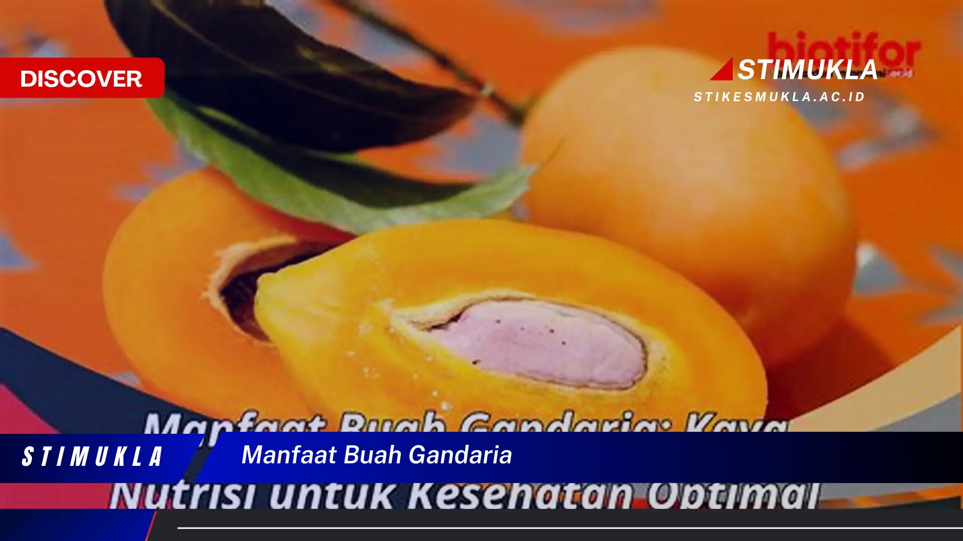 manfaat buah gandaria