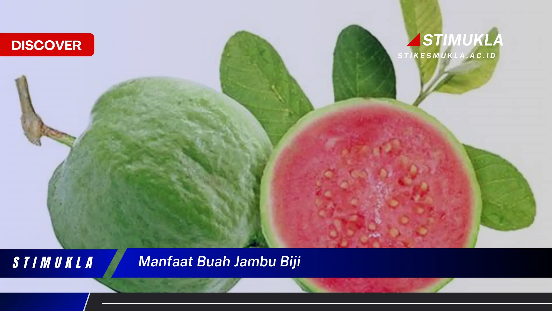 manfaat buah jambu biji