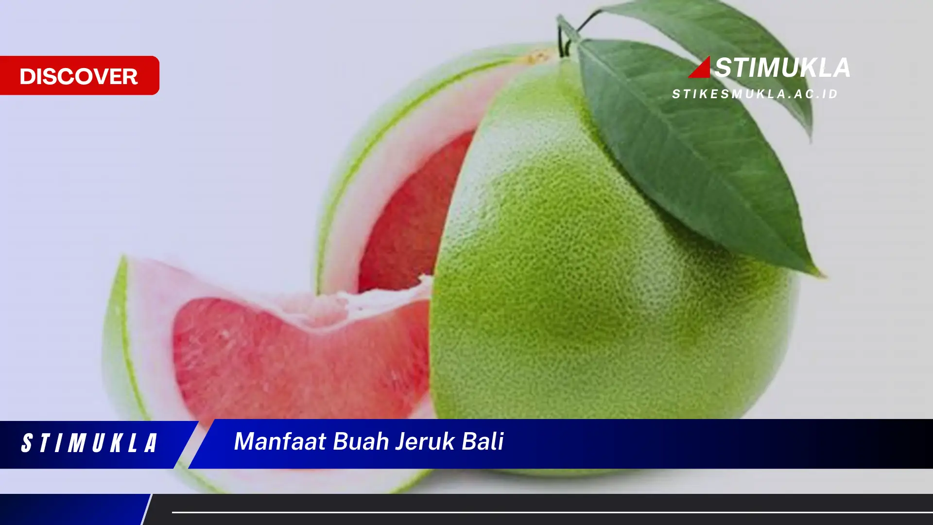 manfaat buah jeruk bali manfaat buah jeruk bali