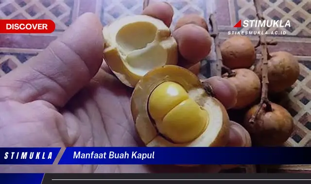 manfaat buah kapul