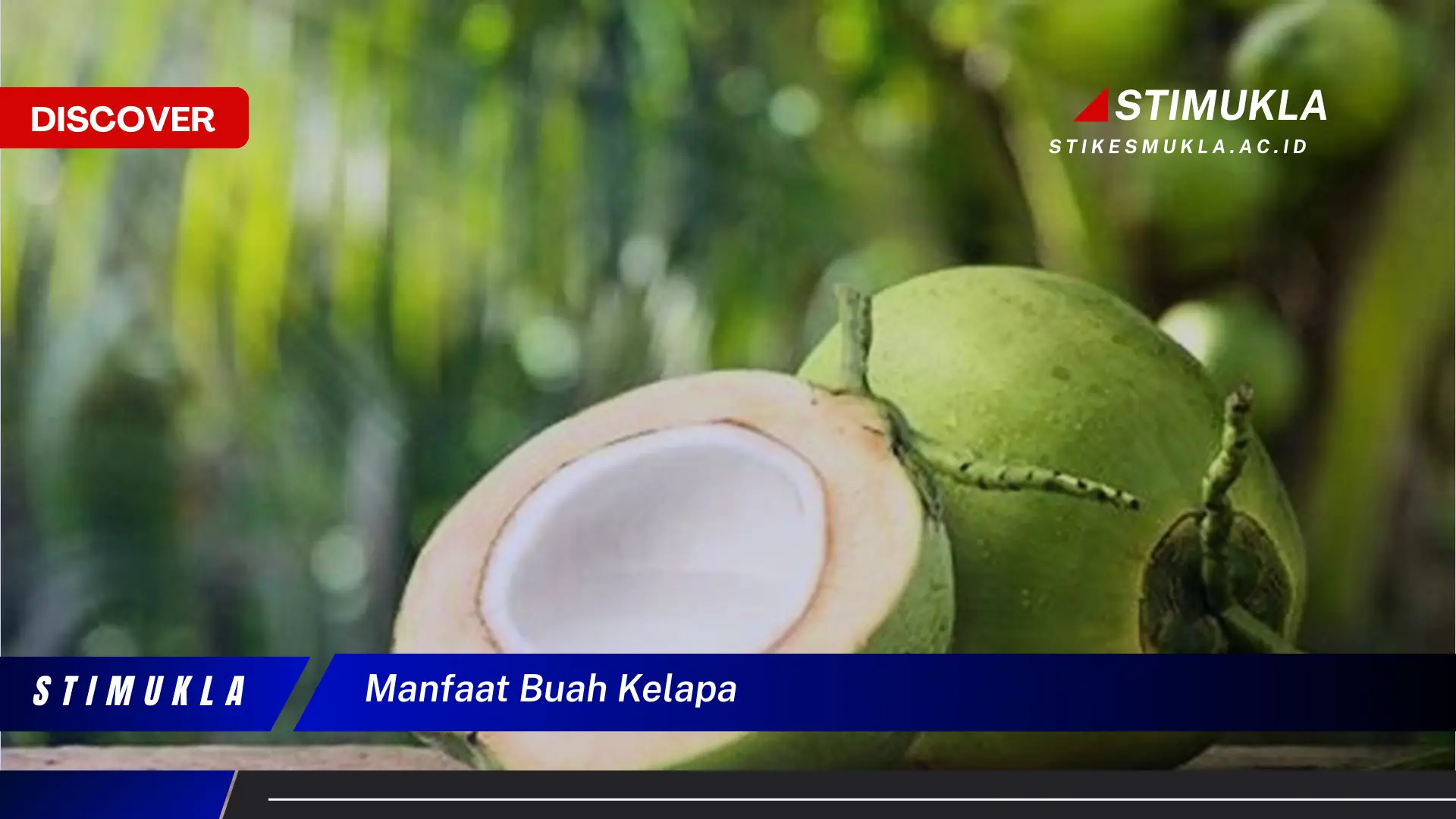 manfaat buah kelapa