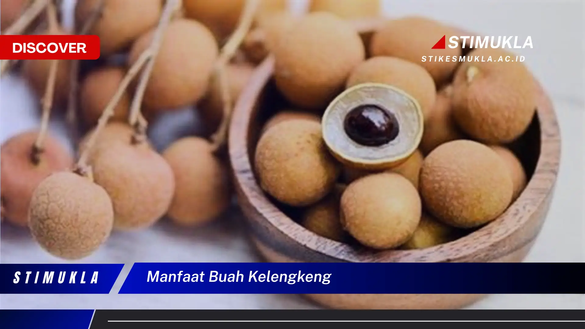 manfaat buah kelengkeng manfaat buah kelengkeng