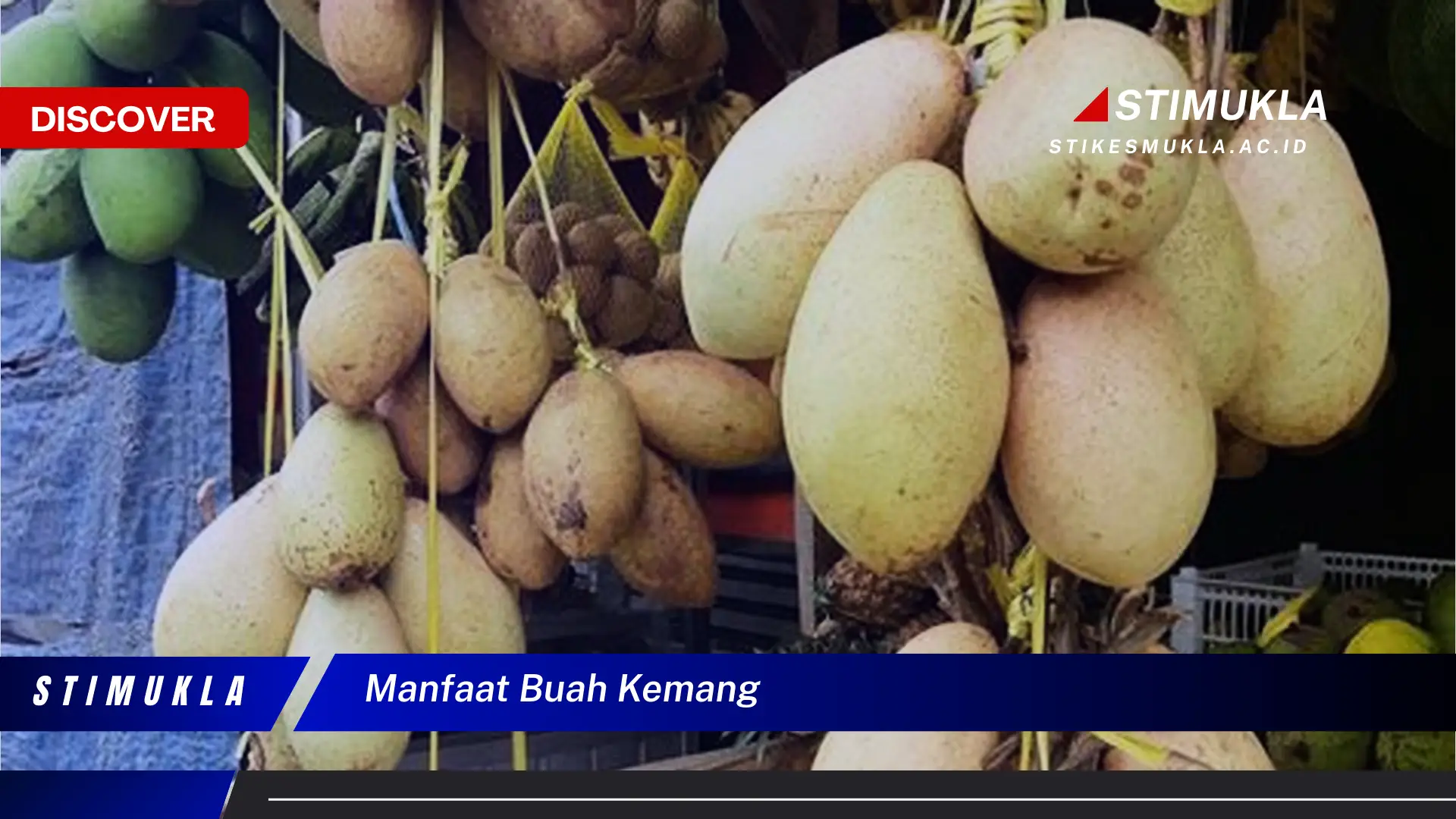 manfaat buah kemang