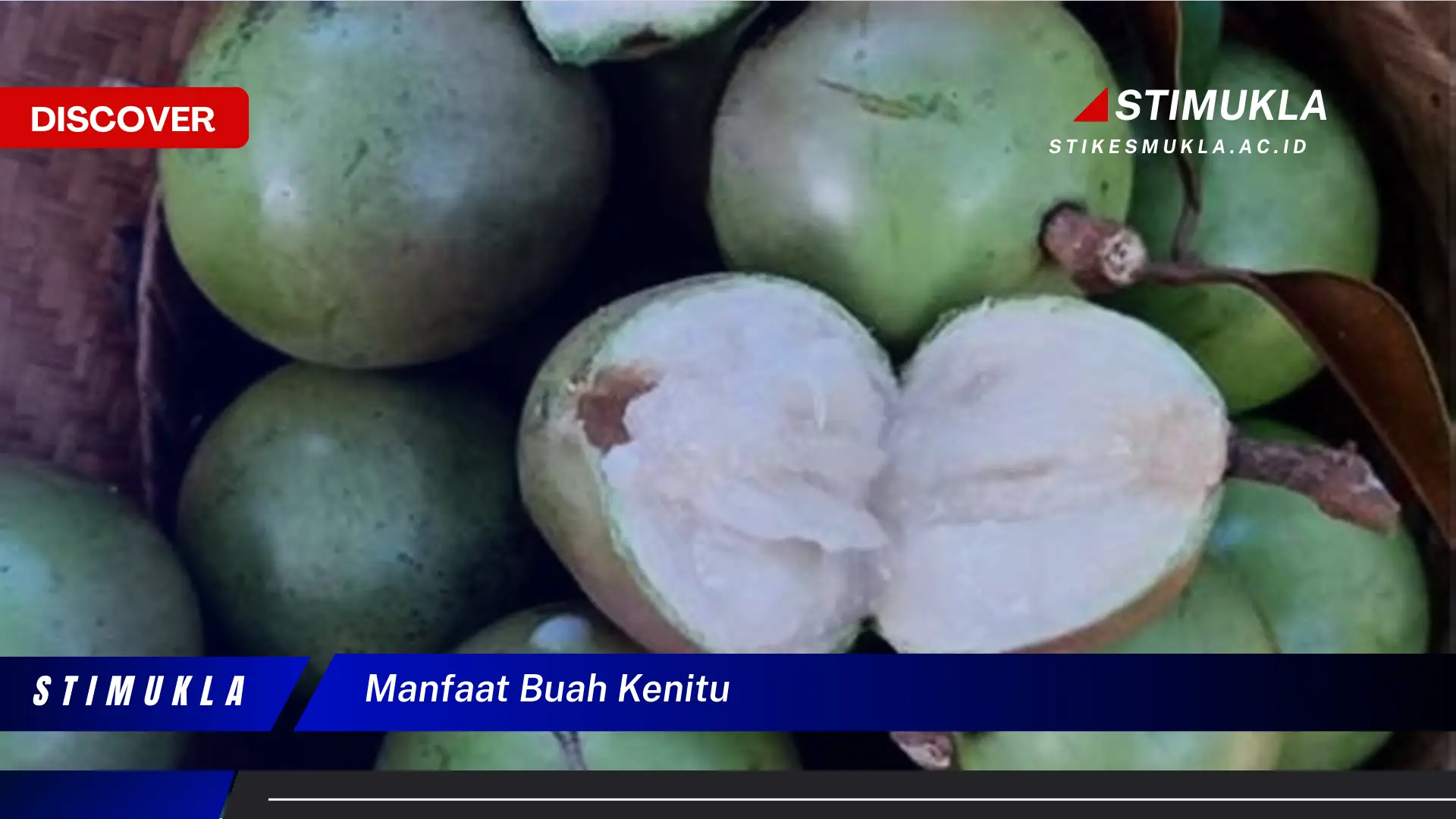 manfaat buah kenitu