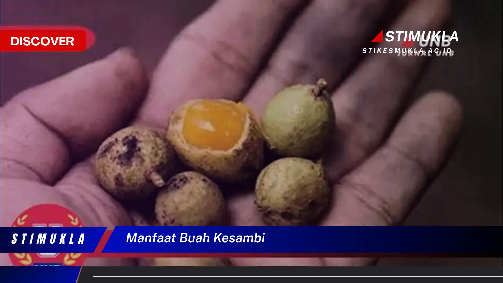 manfaat buah kesambi