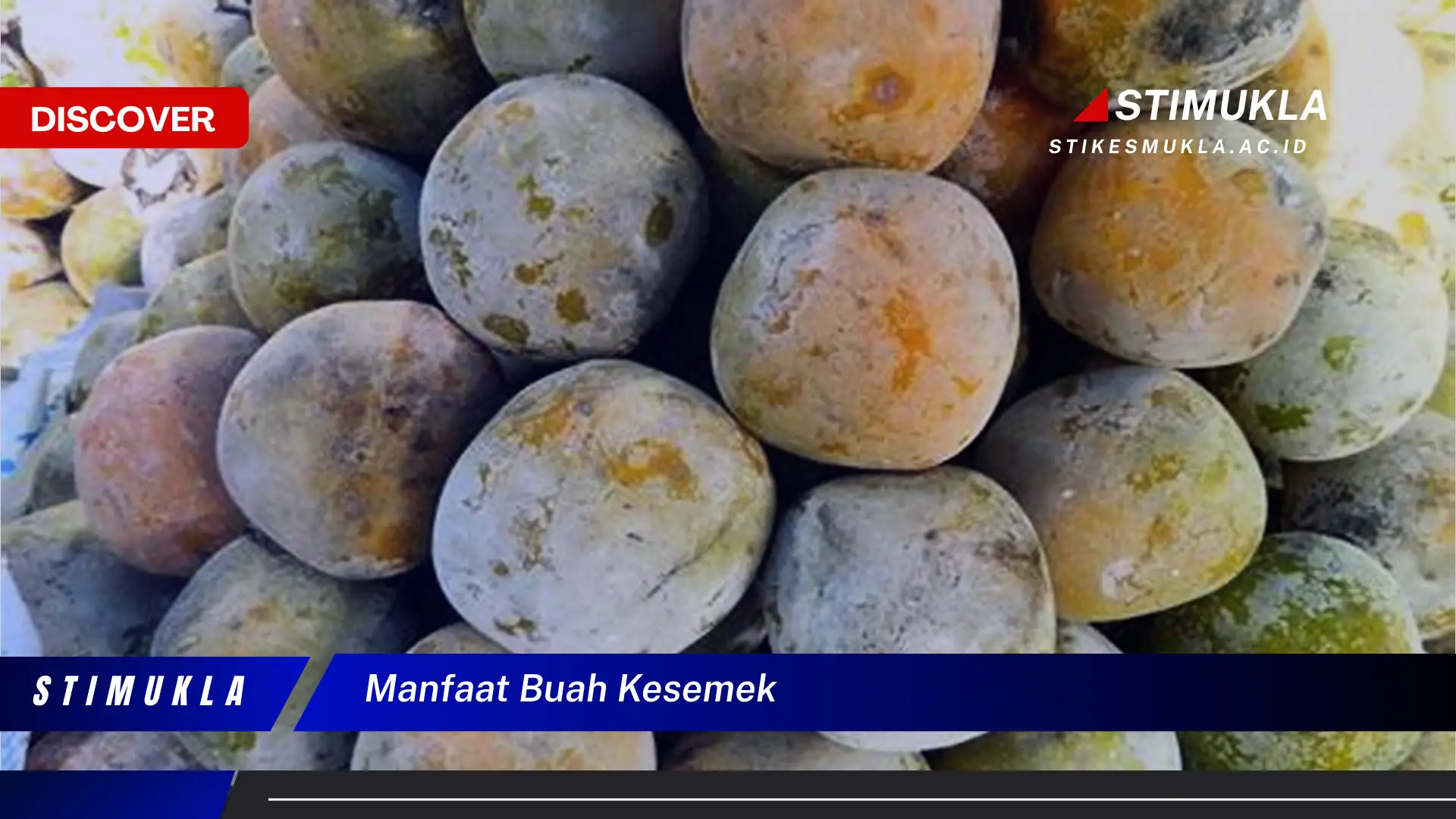 manfaat buah kesemek