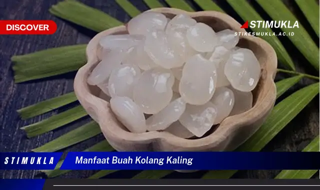 manfaat buah kolang kaling