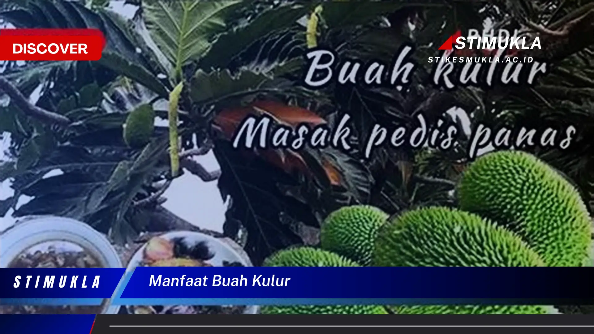 manfaat buah kulur
