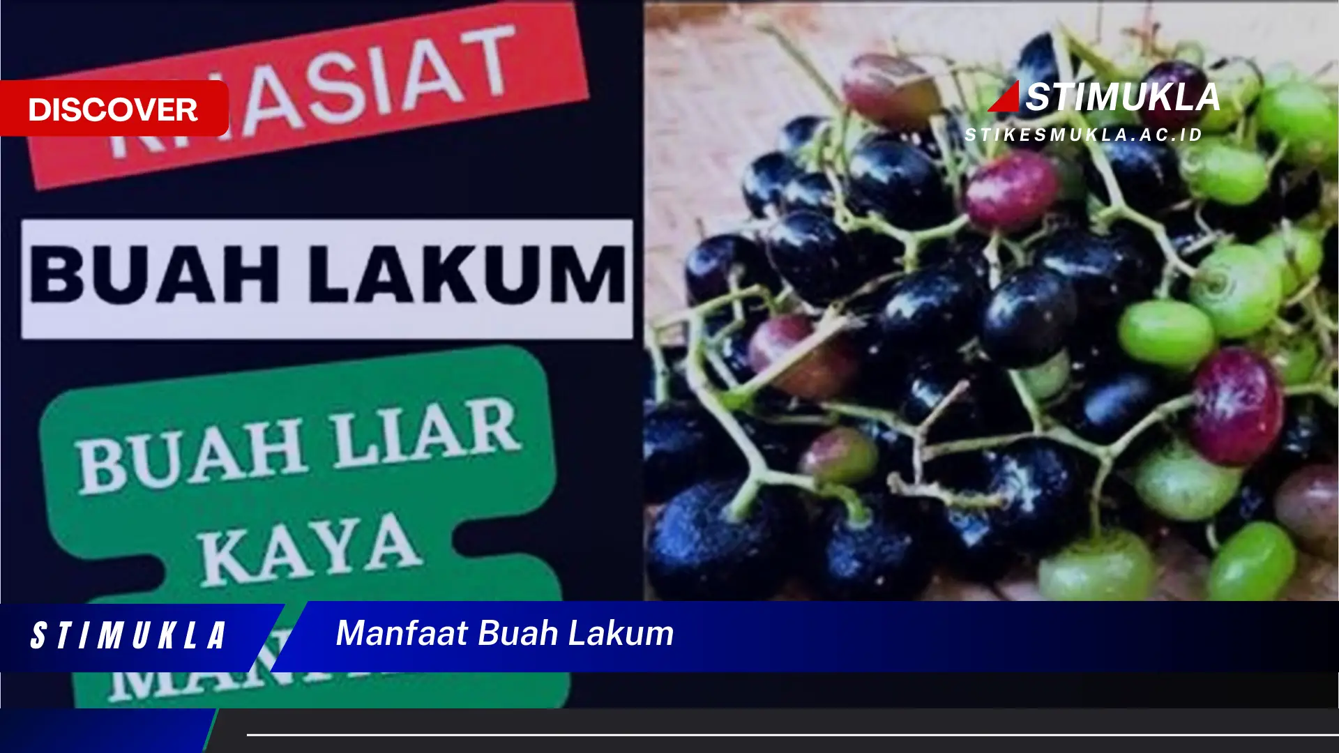 manfaat buah lakum