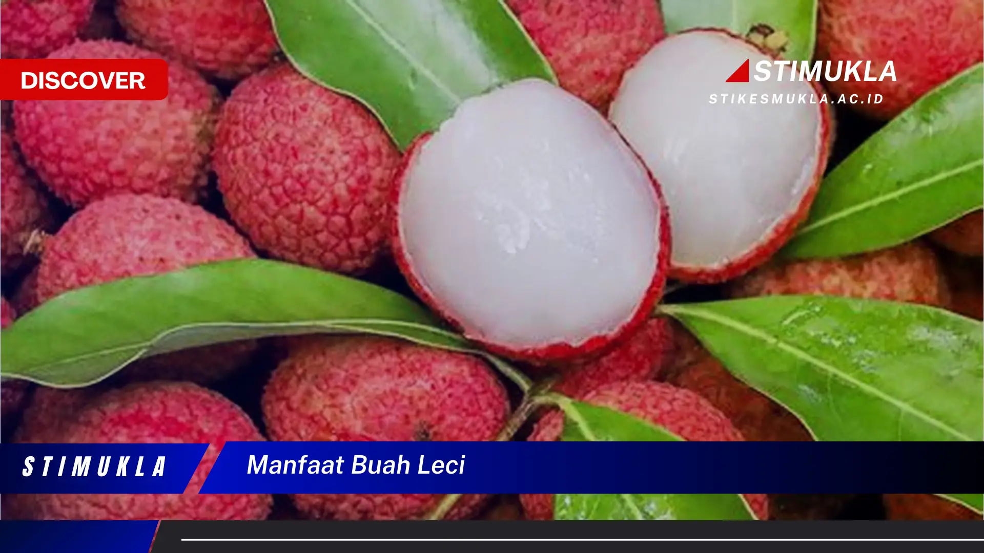 manfaat buah leci