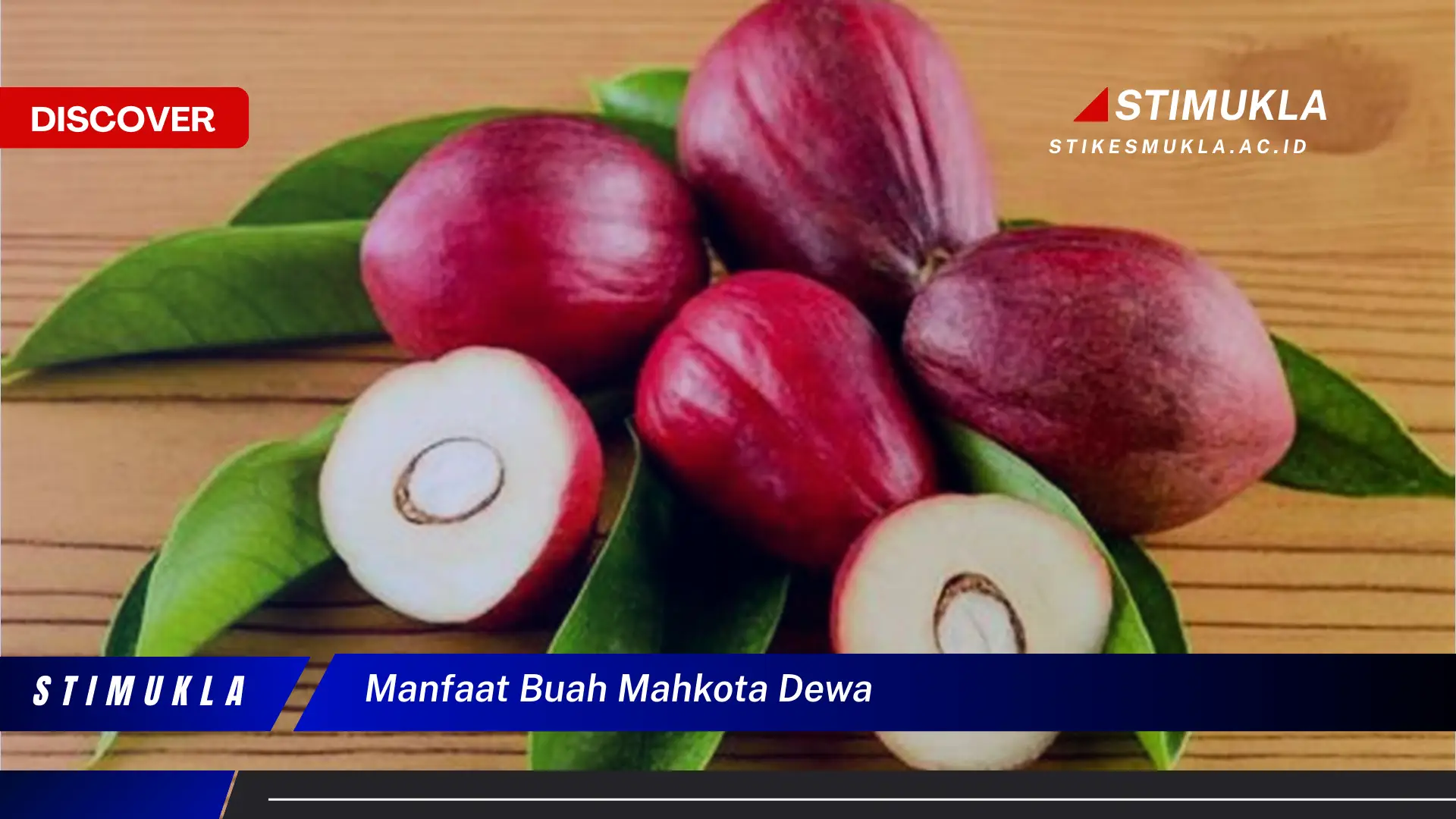 Bukan cuma buah mahoni, Ini dia 10 Manfaat buah mahkota dewa yang Bikin Penasaran